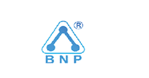 bnp logo (1)